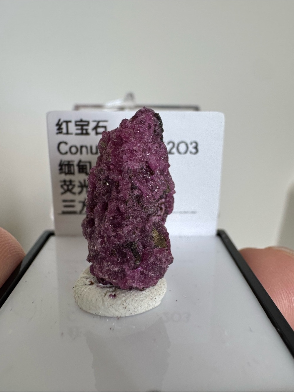 Red corundum mineral specimen